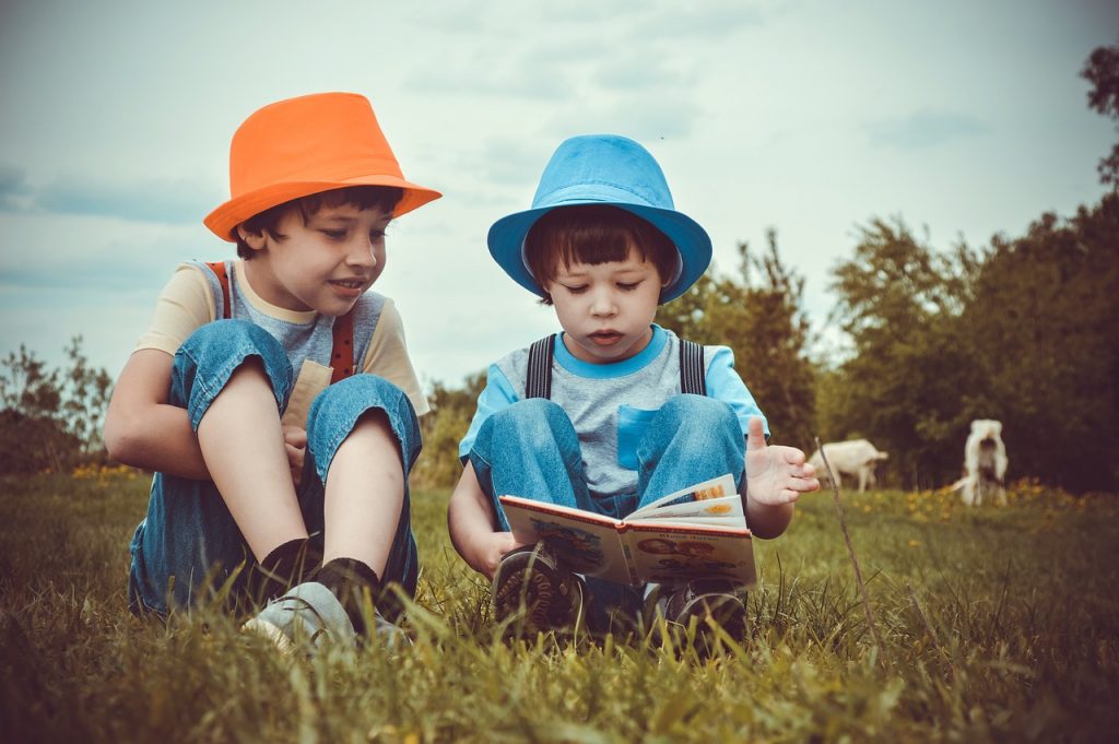 丹佛课程插图3 boys, kids, reading-3396713.jpg